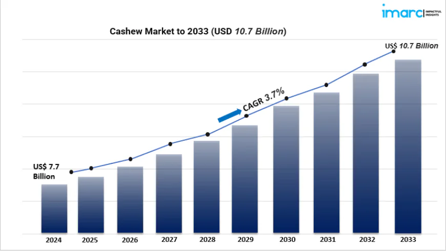 Cashew Industry Outlook 2025 2033: Market Size, Segments, and Leading Global Players