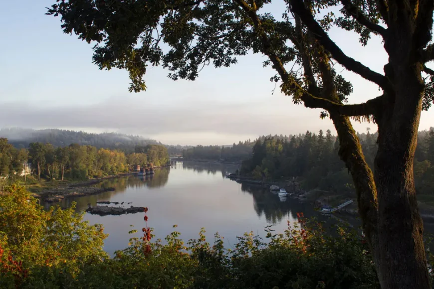 Expert Commercial Property Management in the Willamette Valley