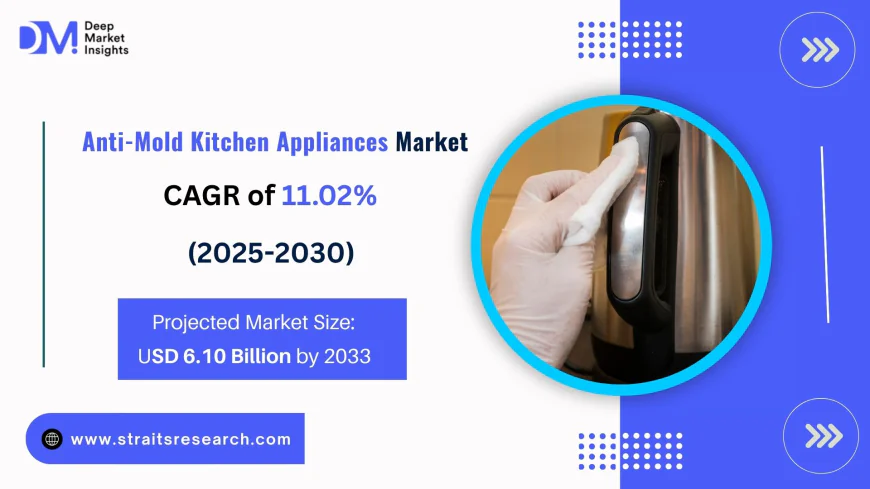 Anti-Mold Kitchen Appliances Market Competitive Outlook and Market Positioning 2030