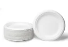 Eco-Friendly Dining: The Rise of Bagasse Compartment Plates