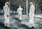 Asbestos Management Survey London – Stay Compliant & Protect Your Property