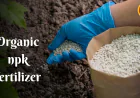 Organic NPK Fertilizer: Perfect Balance of Nitrogen, Phosphorus & Potassium