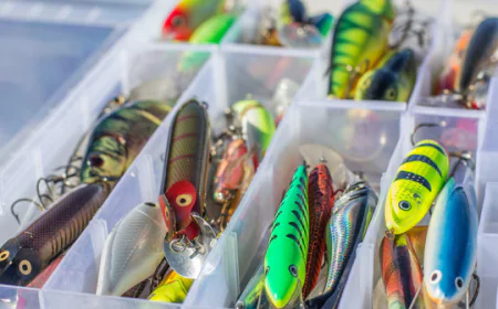 Buy Salmo 3.5 and Boulyn Kolletjie: The Perfect Bait Combo for Serious Anglers