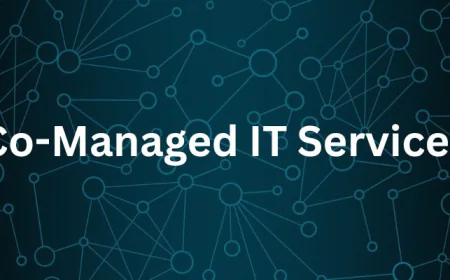 When Internal IT Needs a Boost, Co-Managed Support Steps In
