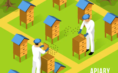 A Complete Guide to Beehive Monitoring Systems and IoT Advancements in Beekeeping