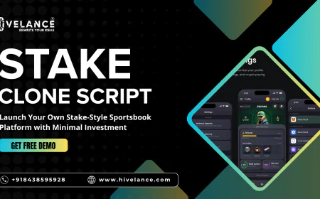 Stake Clone Script - Launch Your Own Stake-Style Sportsbook Platform with Minimal Investment
