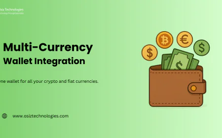 Simplify Global Payments with Multi-Currency Wallet Integration