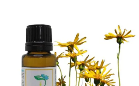 Discover the Benefits of Arnica Herbal Oil Today