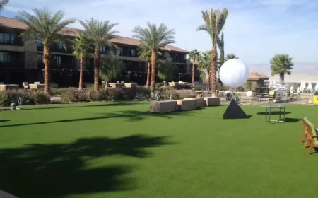 Is Artificial Turf Safe for Pets? Everything Pet Owners Need to Know in 2025