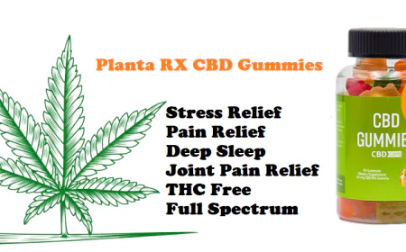 Planta RX CBD Gummies Does It Work Or Not?