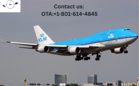 How do I contact to a live person at KLM? Help Is Here!