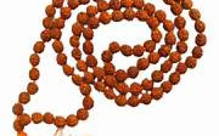Original Rudraksha Mala 108 Beads Price and Spiritual Value