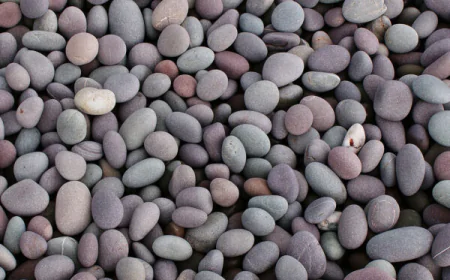 Add Natural Charm with Pebbles Stone for Your Garden and Landscape