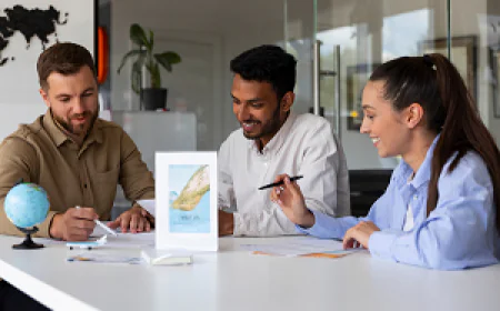 Are There Licensed and Government Approved Visa Consultants