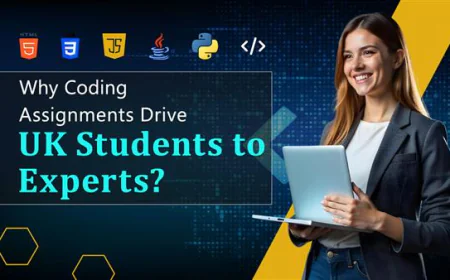 Struggling with Python or Java? Here's Why UK Students Seek Coding Help