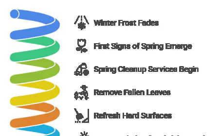 Spring Cleanup Services: A Must-Have for a Healthy Lawn.