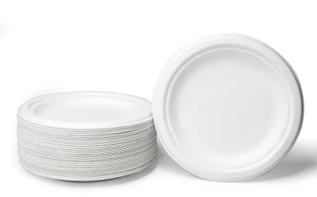 Eco-Friendly Dining: The Rise of Bagasse Compartment Plates