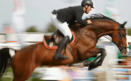 Unlock the Power of Real-Time Sports Betting Data with Reliable Sports Betting API Providers