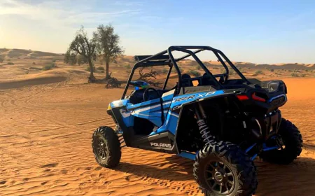 Best Buggy Tour for Families in Dubai and Its Highlights