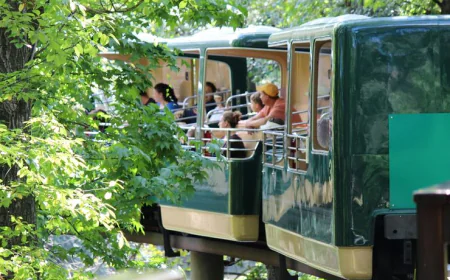 How to get easily to the Bronx Zoo by Public or Private Transportation