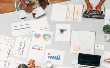 Organic Traffic Boost Company in Pali