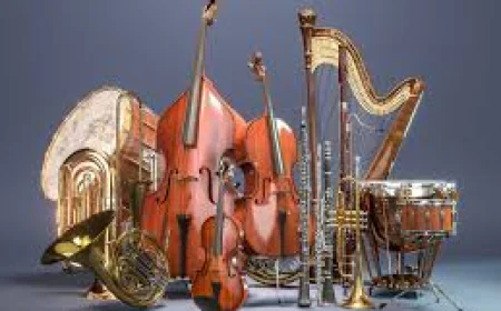 15 Powerful Types of Musical Instruments Every Music Lover Must Know