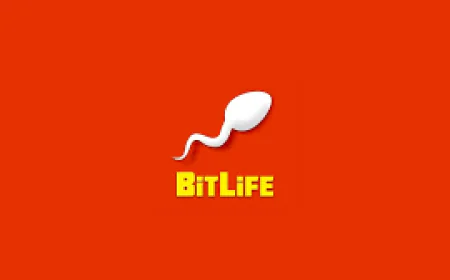 How to Make the Most of Your In-Game Experience in Bitlife