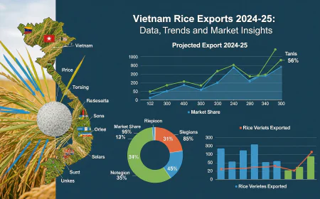 Vietnam Rice Exports 2024-25: Data, Trends, and Market Insights