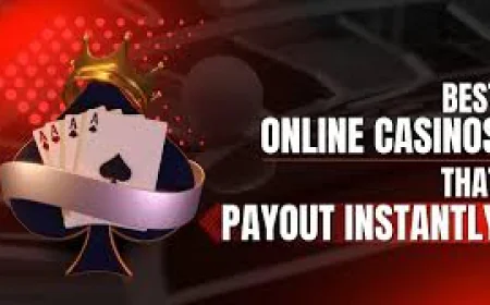 Fast Payout Casino Bonuses and Promotions: How They Affect Your Winnings