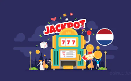 De Beste Bookmakers voor Live Wedden in Nederland