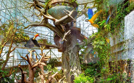 What to Expect Inside the Indoor Rainforest Dubai