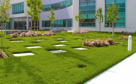 Emerging Trends in Commercial Landscaping: What’s Changing in Outdoor Spaces?