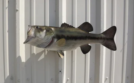 Largemouth Bass Mounts – Preserve Your Trophy Catch with Stunning Realism