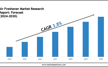 Air Freshener Market Share & Future Projections 2030