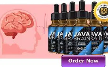 Java Brain – Natural Support for Focus & Memory