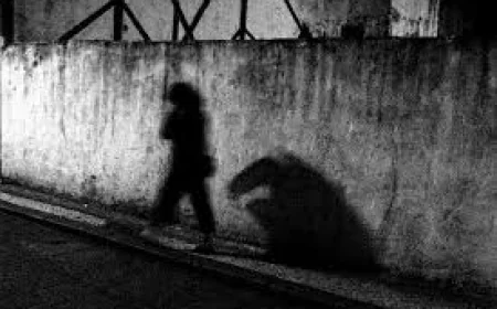 Living in the Shadows: The Hidden Realities Behind Invisible Lives