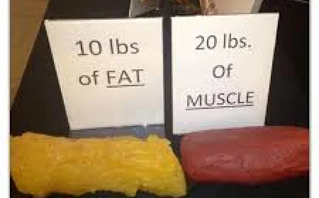 What Does 20 Pounds of Fat Look Like? A Deep Dive into Body Fat, Weight Loss, and Transformation