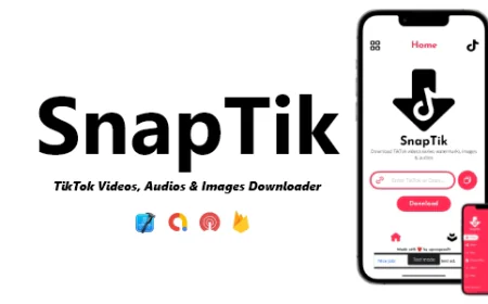 Snaptiktok video Downloader & Mp3 Converter without Watermark
