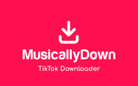 MusicallyDown - Best Tiktok Video Downloader without watermarks