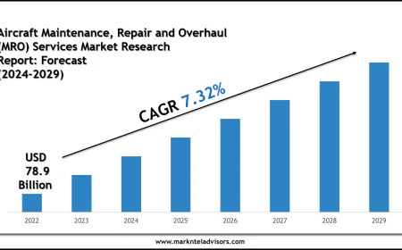 Top Companies in the Aircraft Maintenance, Repair and Overhaul (MRO) Services Market 2029