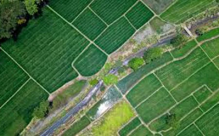 Agriculture Land for Sale in Bangalore – A Smart Investment with Investors Clinic