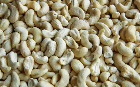 Premium Cashew Nuts: High-Quality, Freshly Processed Cashews