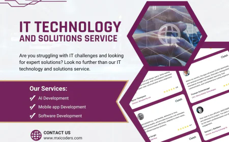 Cost of Building a Custom Software Solution in 2025