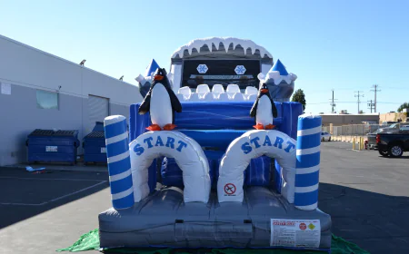 The Ultimate Guide to Fun and Adventure with Inflatable Slides