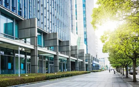 Expert Hurricane Window and Door Installation Tips