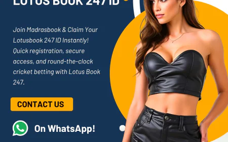 Future of Online Betting – Why Lotusbook 247 Leads the Way | Madrasbook
