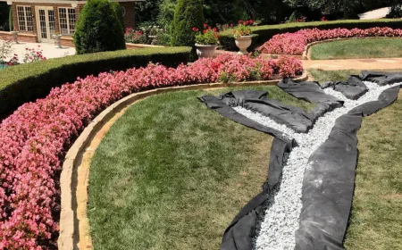 Yard Drainage Specialist Near Me