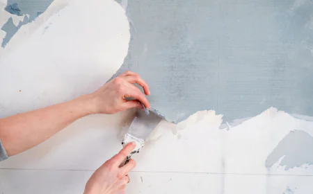 Wallpaper Removal Services Jacksonville, FL