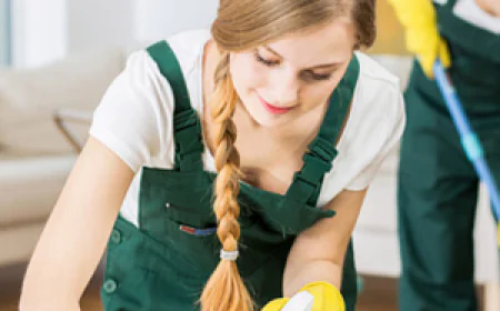 Understanding the Concept of Green Cleaning