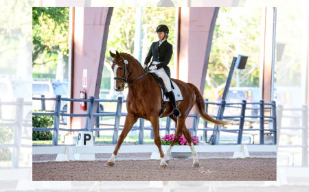 Want Better Balance and Control? Discover the Power of Dressage Seat Correction and FEI Movement Training in Loxahatchee, FL